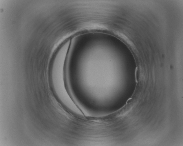 X0000073930391200609082308