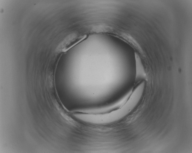 X0000073930393200609082308