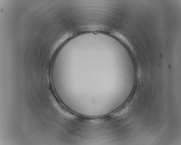 X0000073930394200609082308