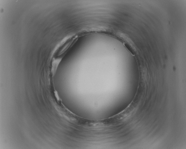 X0000073930395200609082308