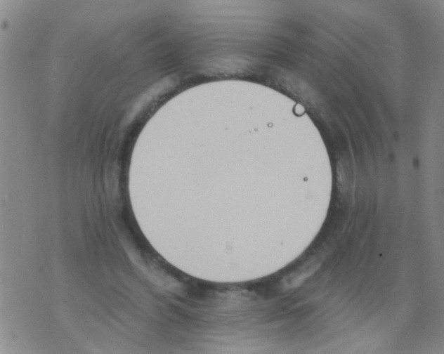 X0000073930396200609082308