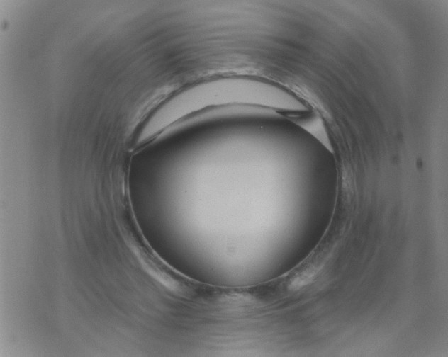 X0000073930397200609082308