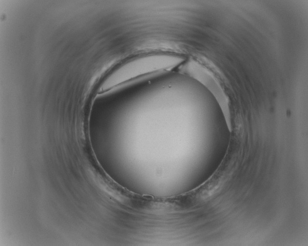 X0000073930399200609082308