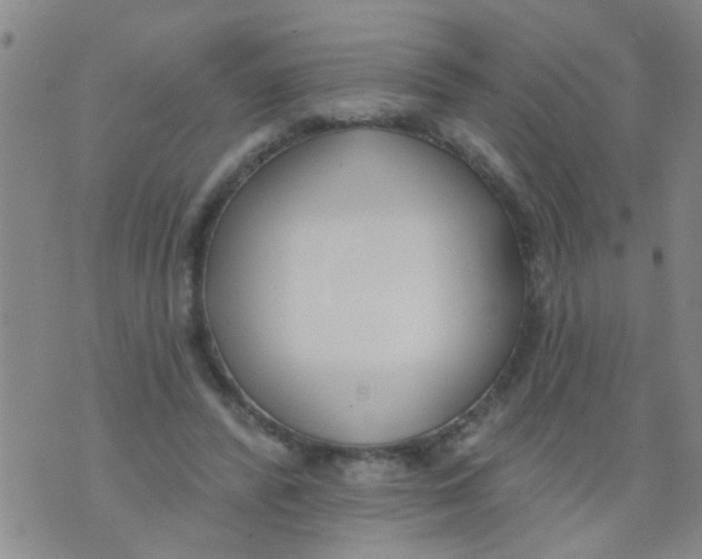 X0000073930400200609082308