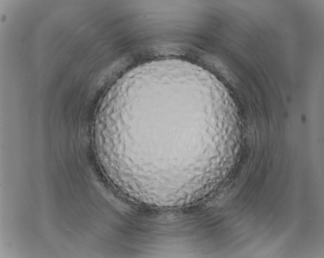 X0000073930402200609082308