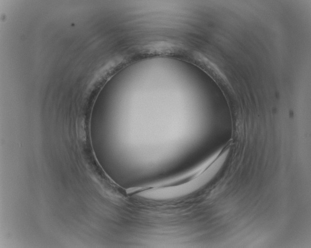 X0000073930403200609082308