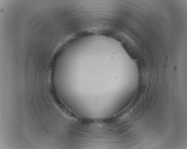 X0000073930404200609082308