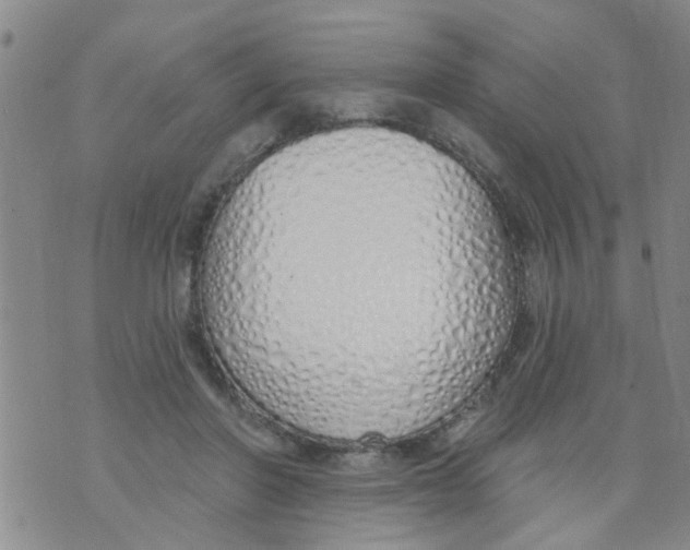 X0000073930406200609082308