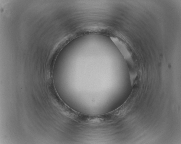 X0000073930407200609082308