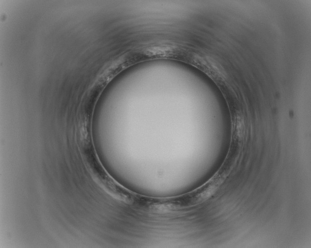 X0000073930408200609082308