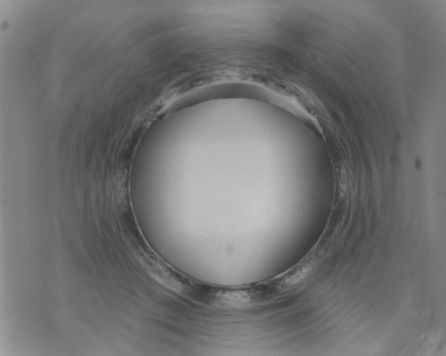 X0000073930409200609082308