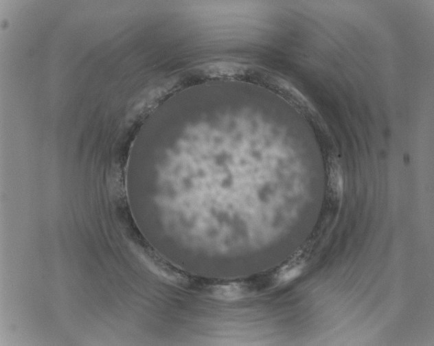 X0000073930411200609082308