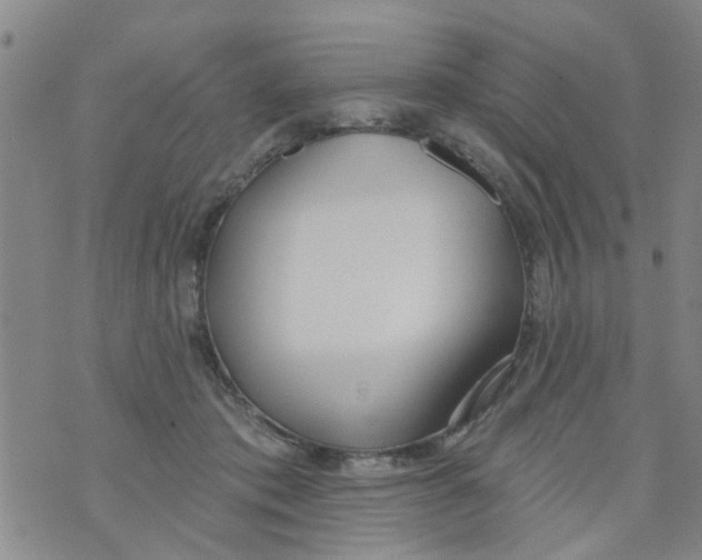 X0000073930413200609082308