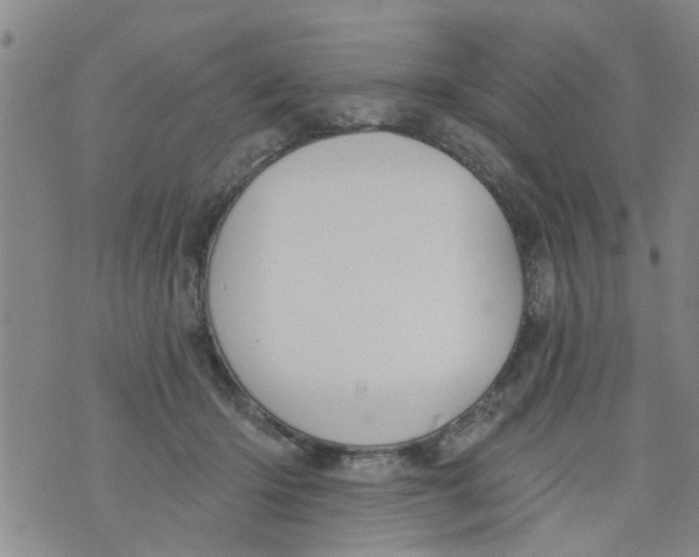 X0000073930414200609082308