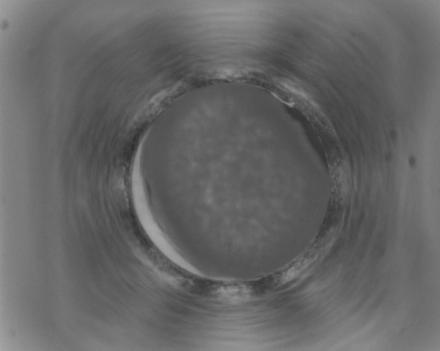 X0000073930415200609082308