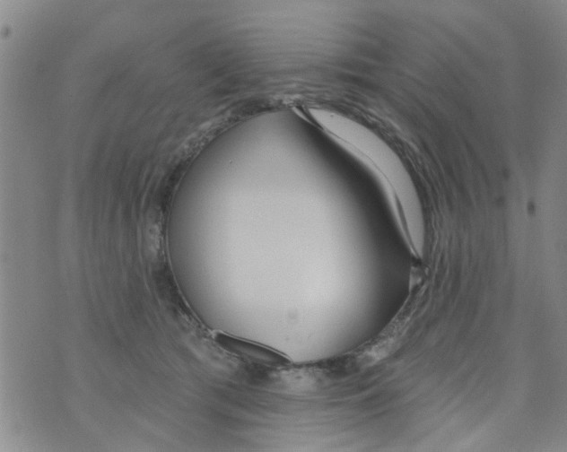 X0000073930417200609082308