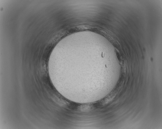 X0000073930418200609082308