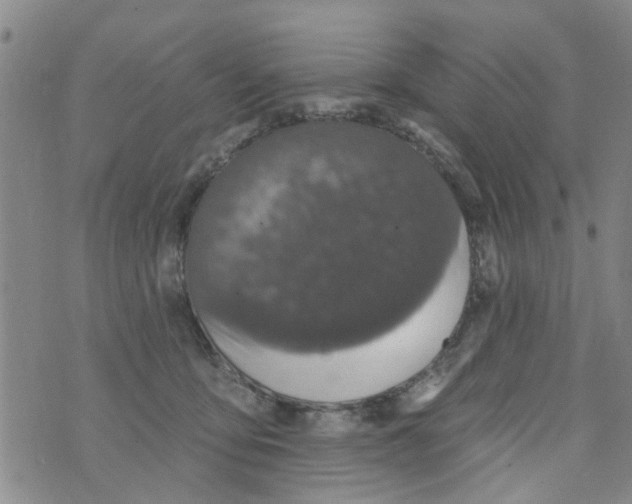 X0000073930419200609082308