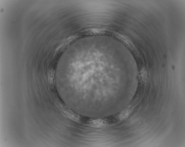 X0000073930423200609082308