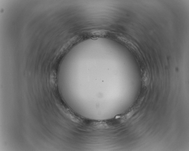 X0000073930424200609082308