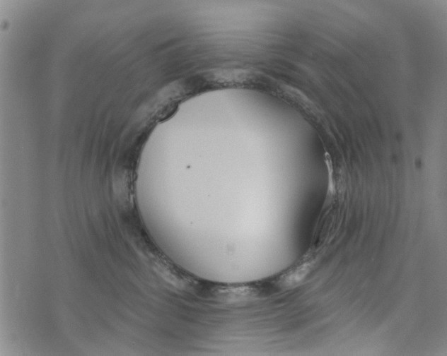 X0000073930428200609082307