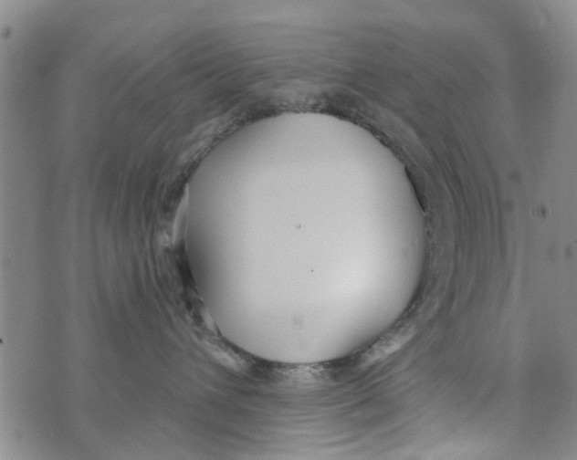 X0000073930432200609082307