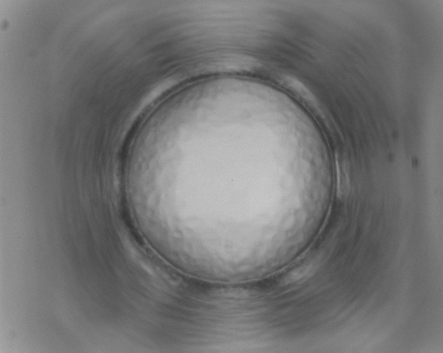 X0000073930435200609082307