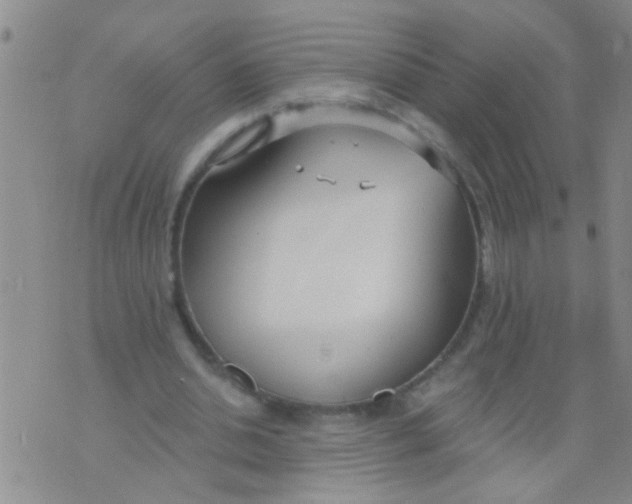 X0000073930438200609082307