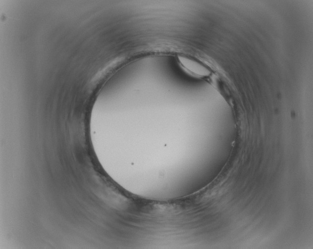 X0000073930442200609082307