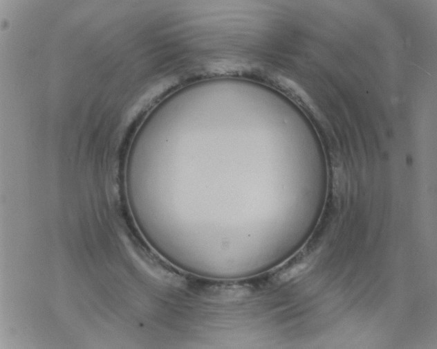 X0000073930443200609082307