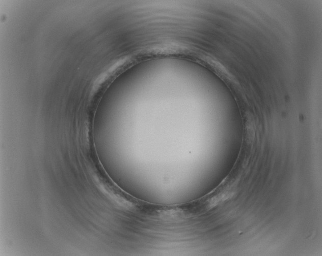 X0000073930446200609082307