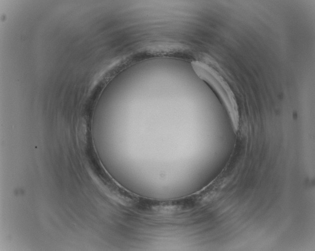 X0000073930448200609082307