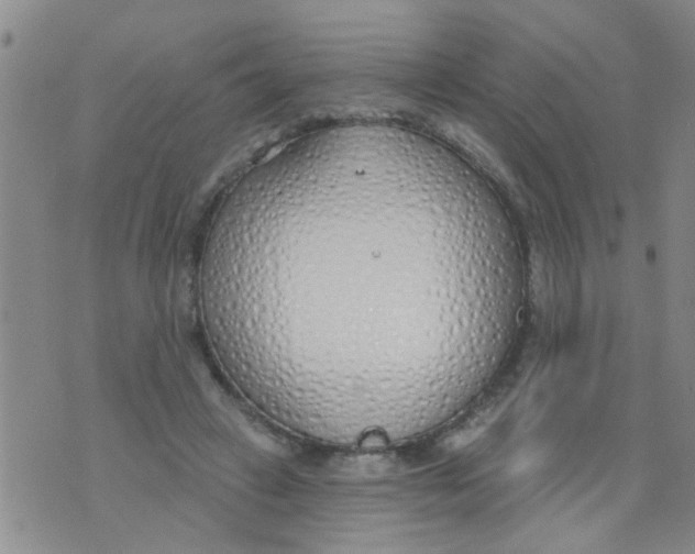 X0000073930449200609082307