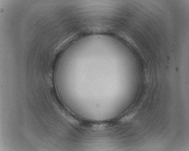 X0000073930450200609082307