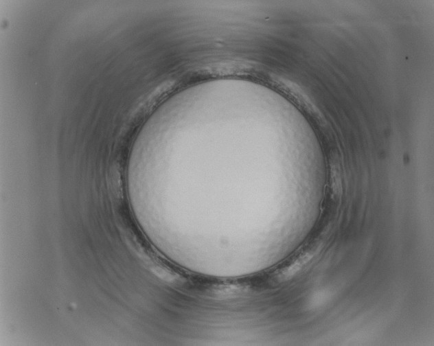 X0000073930453200609082307