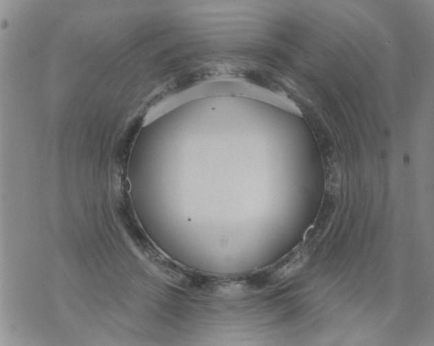 X0000073930456200609082307