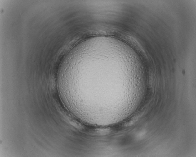 X0000073930457200609082307