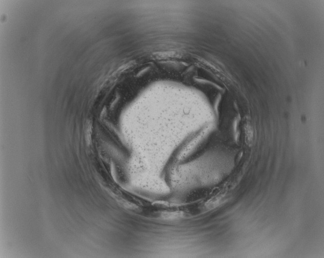 X0000073930458200609082307