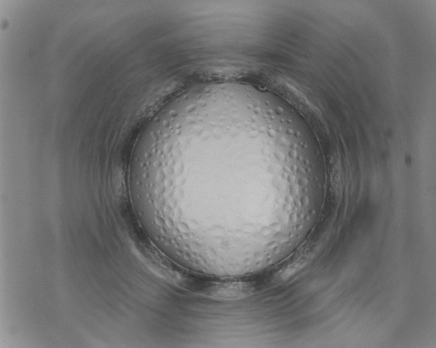 X0000073930459200609082307