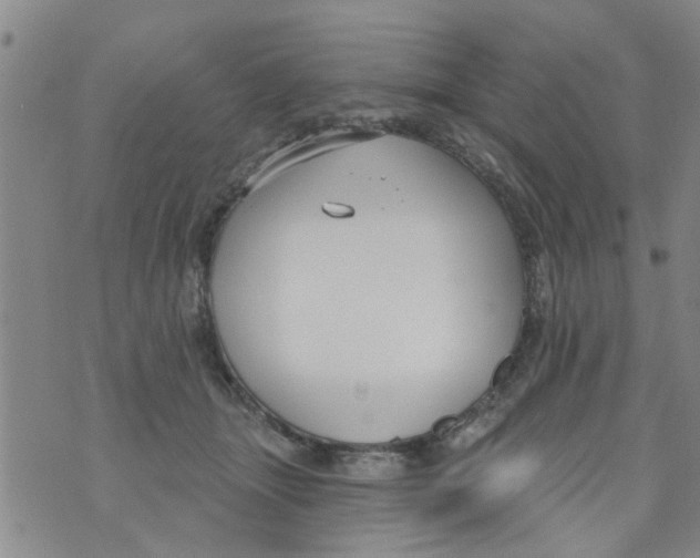 X0000073930463200609082307