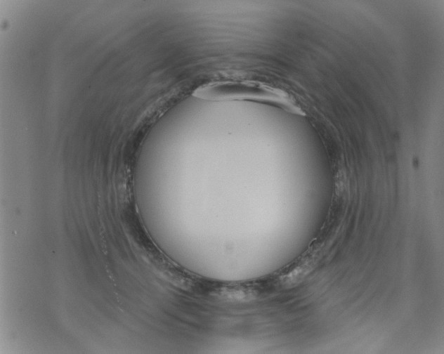 X0000073930464200609082307