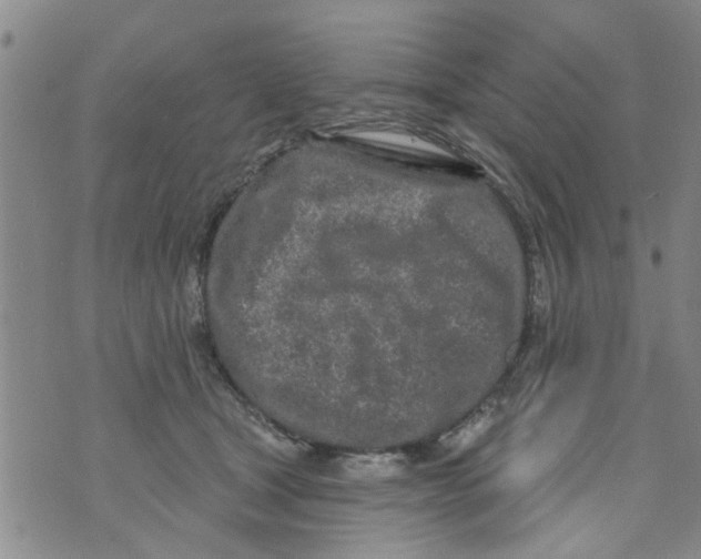 X0000073930465200609082307