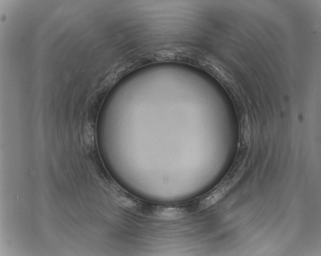 X0000073930467200609082307