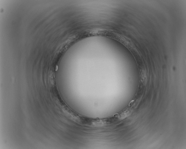 X0000073930470200609082307