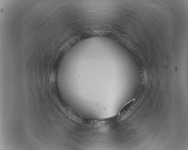 X0000073930472200609082307