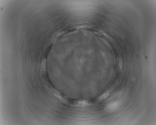 X0000073930475200609082307