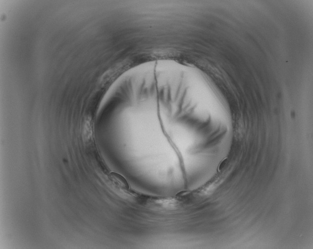 X0000073930478200609082307