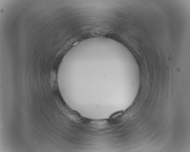 X0000073930480200609082307