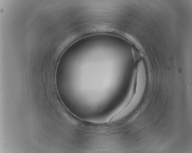 X0000073930481200609082307