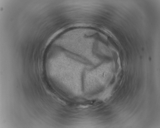 X0000073930484200609082307